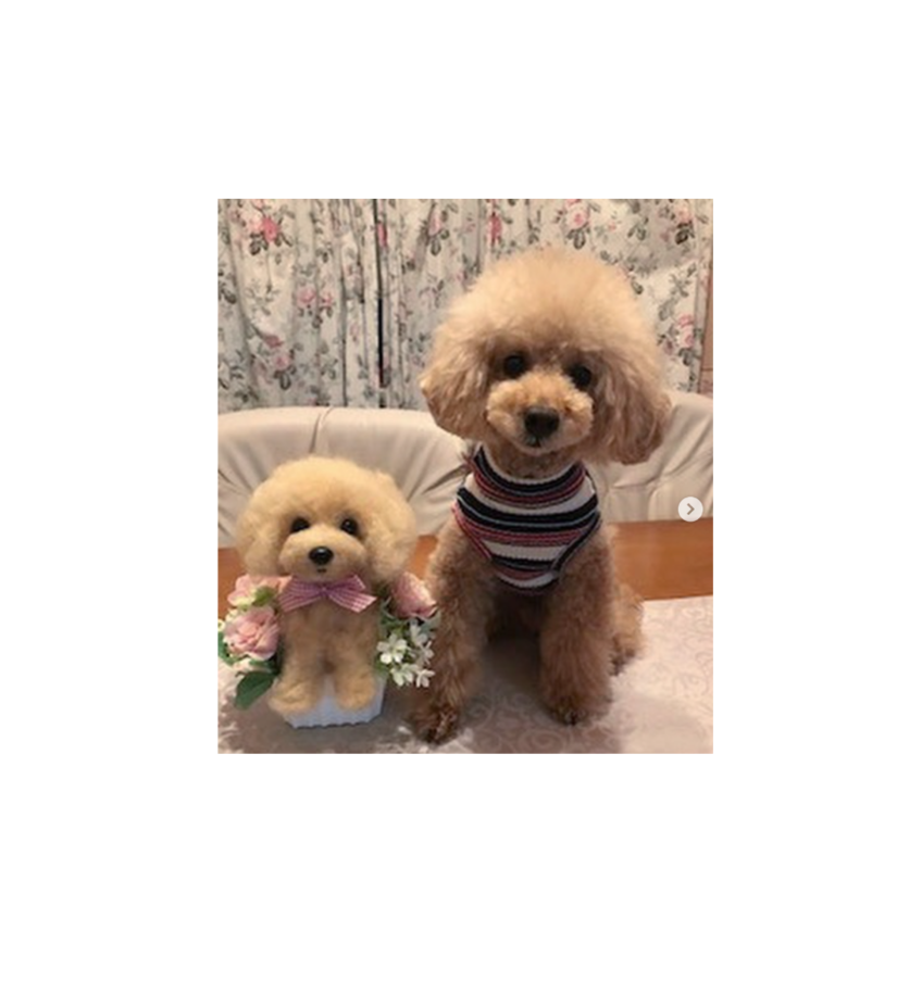 ペットそっくりの羊毛フェルト人形 Of うちの子トピアリー 工房 アンドモア ペットそっくりの羊毛フェルト人形 Of うちの子トピアリー 工房 アンドモア